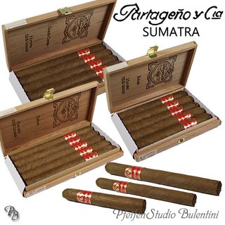 Zigarren PARTAGENO Y CIA Sumatra Longfiller Zigarre 5er Holzkiste Schuster Bünde